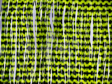 Lade das Bild in den Galerie-Viewer, Fransen dünn zur Herstellung des „Fransen-Joes“